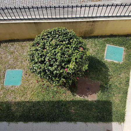 Ulfilanis Vila Fiães المظهر الخارجي الصورة